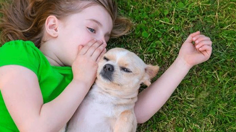 Παιδί και κατοικίδιο: μια πολύτιμη σχέση!
