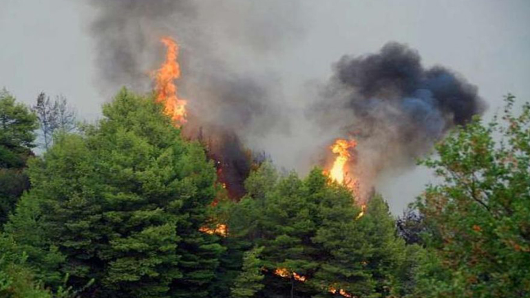 Πυρκαγιά στο Καστρί της Εύβοιας
