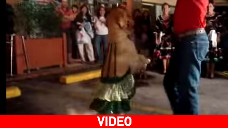 Χορεύοντας με τον πιο έξυπνο σκύλο!