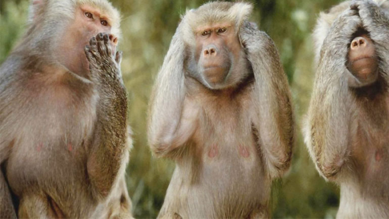 Η παρέα, η κολεγιά και η διαπλοκή…