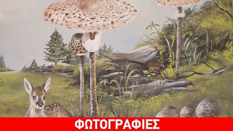 Νέα πτέρυγα στο Μουσείο Μανιταριών Μετεώρων