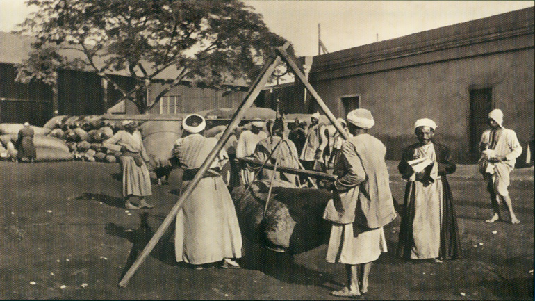 Διάλεξη στη Μελβούρνη: Η παραγωγή βαμβακιού στην Οθωμανική Αίγυπτο και οι Έλληνες επιχειρηματίες