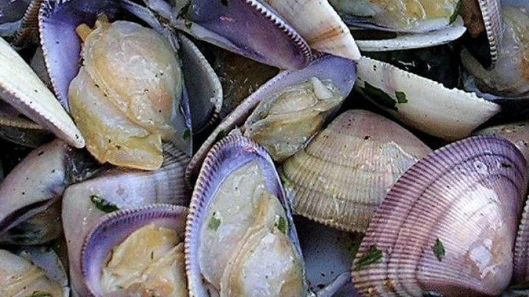 Έβρος: Εντοπίστηκαν και κατασχέθηκαν 864 κιλά ακατάλληλα όστρακα Έβρος: Εντοπίστηκαν και κατασχέθηκαν 864 κιλά ακατάλληλα όστρακα