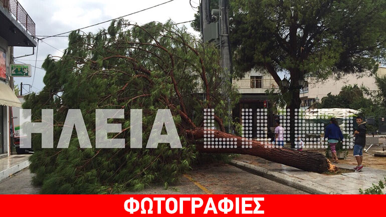 Ηλεία: Εκτεταμένες ζημιές σε καλλιέργειες και υποδομές από ανεμοστρόβιλο