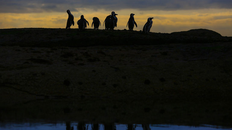 Ελληνική πρωτιά από την Οργάνωση «ΓΗ», στο Παγκόσμιο Συνέδριο για την Προστασία του Περιβάλλοντος