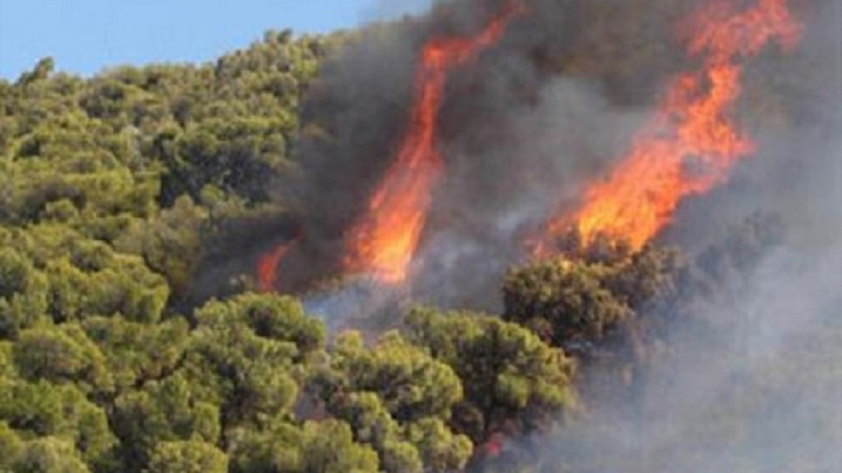 Θάσος: Πυρκαγιές σε δασικές εκτάσεις από κεραυνούς Θάσος: Πυρκαγιές σε δασικές εκτάσεις από κεραυνούς
