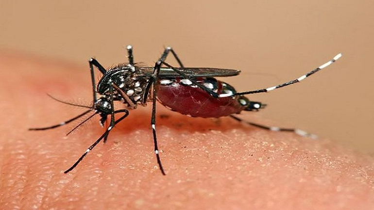 Ταϊλάνδη: Επιβεβαιώθηκαν 21 νέα κρούσματα του ιού Ζίκα