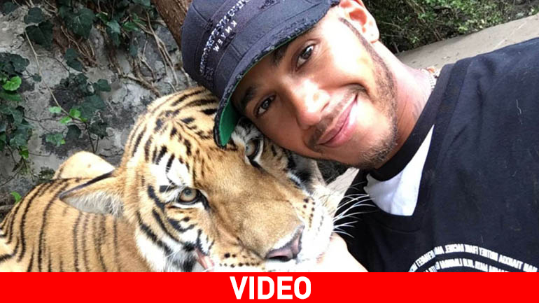 O παράτολμος Lewis Hamilton!