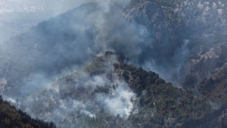 Σε ύφεση η πυρκαγιά στη Θάσο