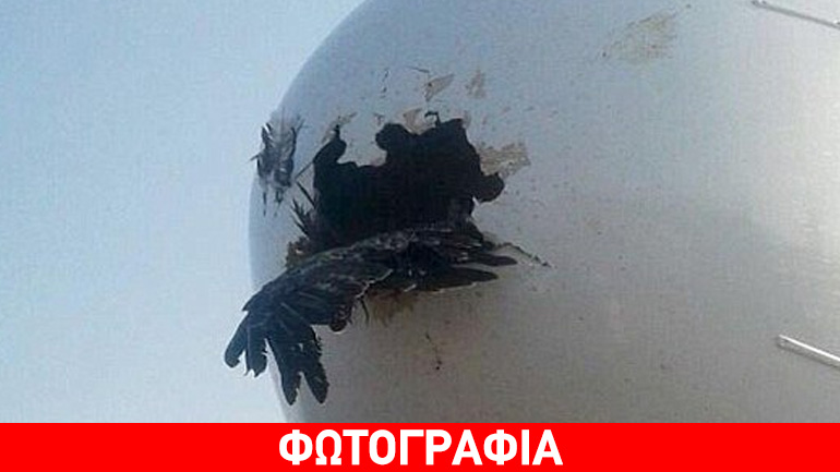 Δείτε τι μπορεί να προκαλέσει ένας αετός σ’ ένα Boeing;