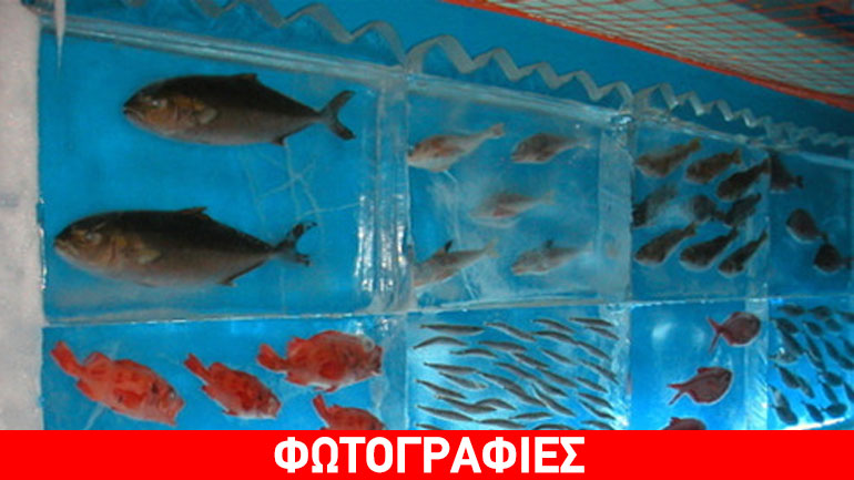 Παγωμένο ενυδρείο στην Ιαπωνία