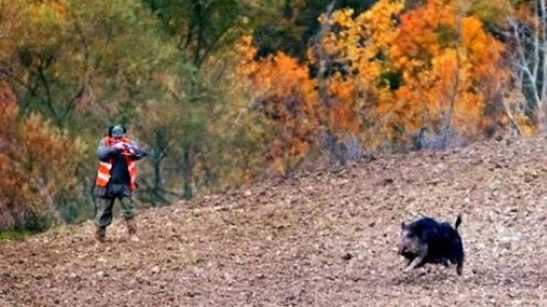 Φθιώτιδα: Λαθροκυνηγοί απείλησαν με όπλα θηροφύλακες