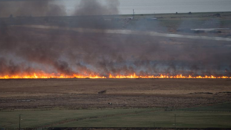 Κρήτη: Τα καλάμια πήραν… φωτιά!