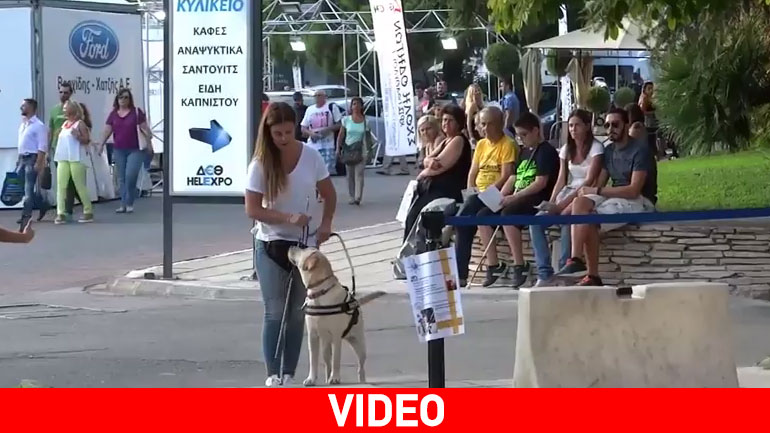 Ρέα, Ροξ και Γιούνι έκλεψαν την παράσταση στη ΔΕΘ