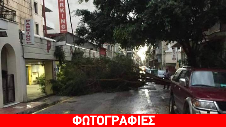 Οι άνεμοι εκρίζωσαν δέντρα στην Πάτρα