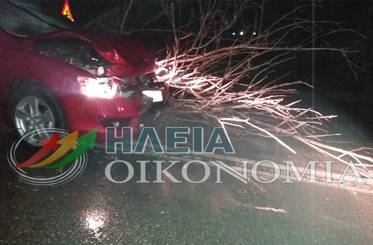 Πτώση δέντρου πάνω σε αυτοκίνητο στον οικισμό Σαβάλια