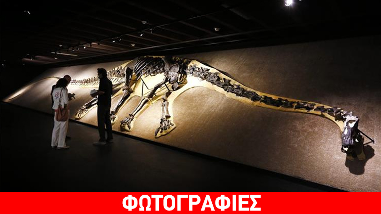 Ο σκελετός ενός πελώριου δεινόσαυρου σε μουσείο Φυσικής Ιστορίας στην Ελβετία