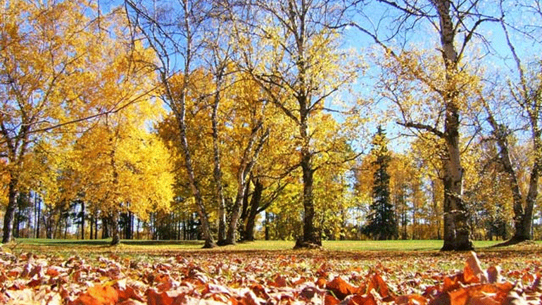 Μπαίνει και επίσημα το φθινόπωρο την Πέμπτη Μπαίνει και επίσημα το φθινόπωρο την Πέμπτη