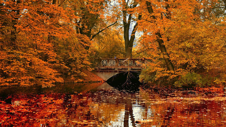 Φθινοπώριασε…