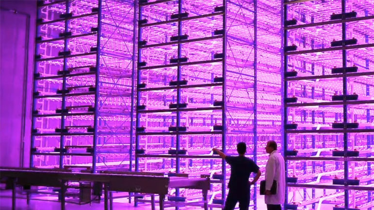 Eισηγήσεις «βόμβα» στην Ολομέλεια του Αρείου Πάγου για τις διεκδικήσεις υπαλλήλων