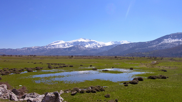 Το χρονοδιάγραμμα για τις αποζημιώσεις των αγροτών, από την πρόσφατη καταστροφική χαλαζόπτωση, στο Οροπέδιο Λασιθίου