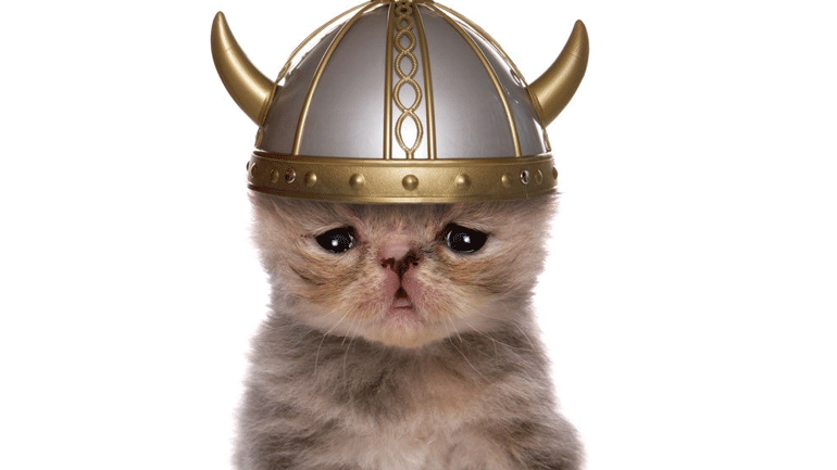 Οι γάτες κατέκτησαν τον κόσμο ταξιδεύοντας ακόμη και με τους Βίκινγκς!