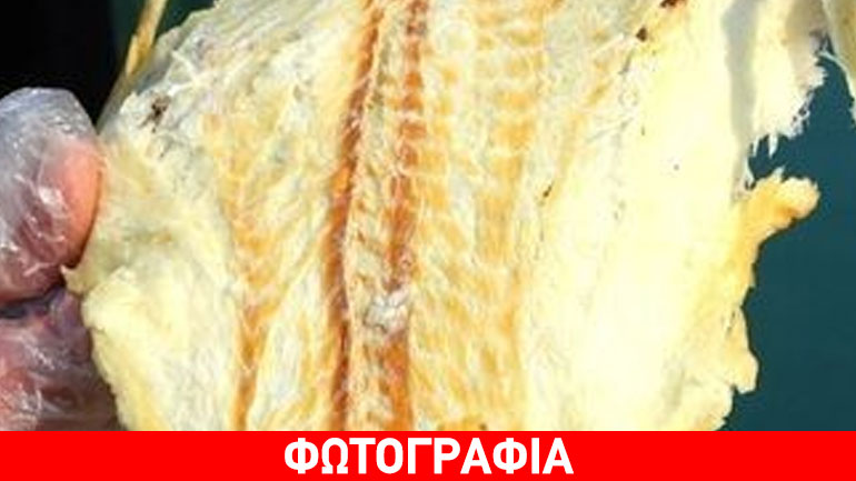 Aνάκληση σνακ από αλατισμένο και αποξηραμένο ψάρι