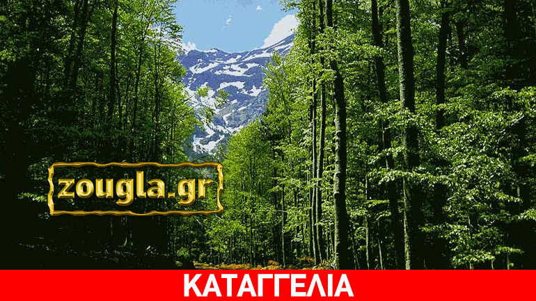 Το βασίλειο της γραφειοκρατίας καλά κρατεί