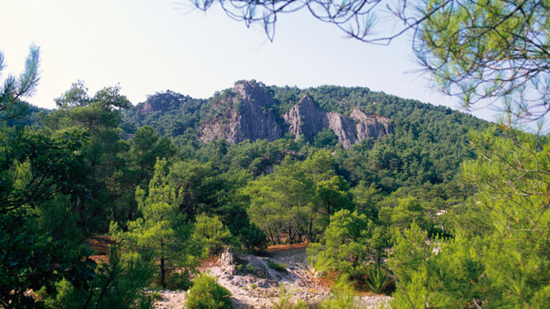 Εθνικό πάρκο το δάσος Δαδιάς