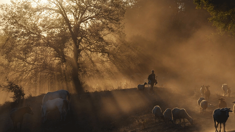 Προβολή του Ντοκιμαντέρ «Ο τερματισμός» στην Τεχνόπολη