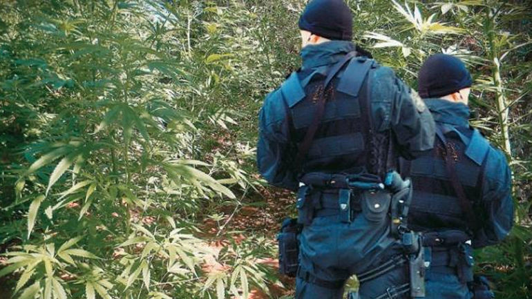 Μεγάλη αστυνομική επιχείρηση στη Δυτική Ελλάδα για την εξάρθρωση εγκληματικής ομάδας