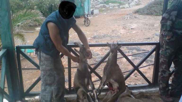 Στον εισαγγελέα η υπόθεση με τα σκοτωμένα κρι – κρι!