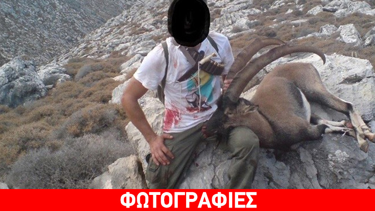 Θύματα ασυνείδητων τα προστατευόμενα Κρι-Κρι της Κρήτης