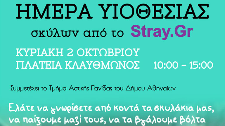 Πρώτη «Ημέρα Υιοθεσίας» από το Stray.gr σε συνεργασία με το Τμήμα Αστικής Πανίδας του Δήμου Αθηναίων