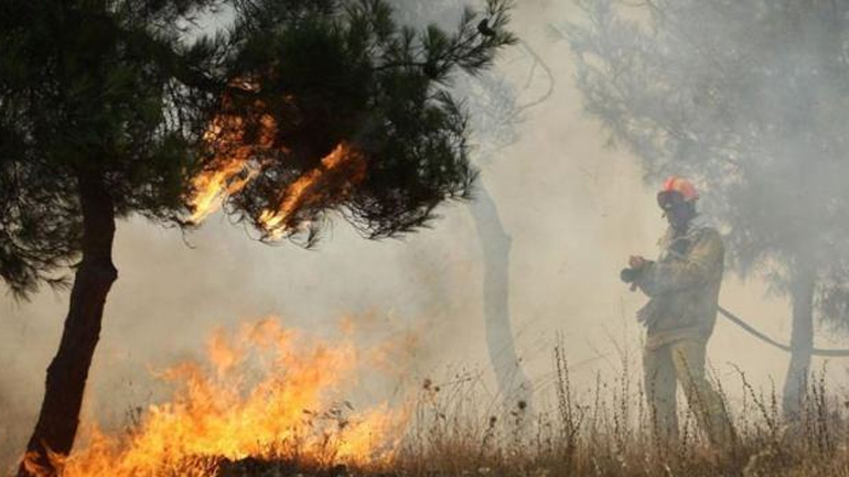 Στις φλόγες αγροτική έκταση στην Κρήτη
