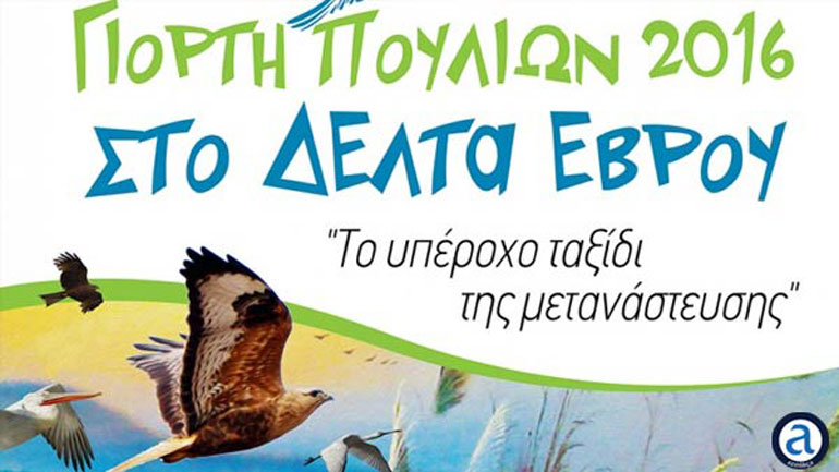 «Πανευρωπαϊκή Γιορτή Πουλιών 2016» στο Δέλτα του Έβρου «Πανευρωπαϊκή Γιορτή Πουλιών 2016» στο Δέλτα του Έβρου