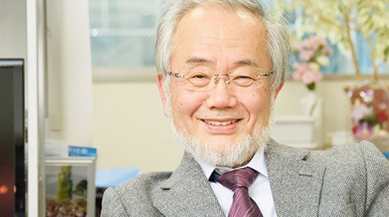 Στον Ιάπωνα βιολόγο Γιοσινόρι Οσούμι το Νόμπελ Ιατρικής 2016
