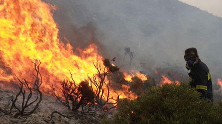 Ξέσπασε φωτιά στη Φθιώτιδα