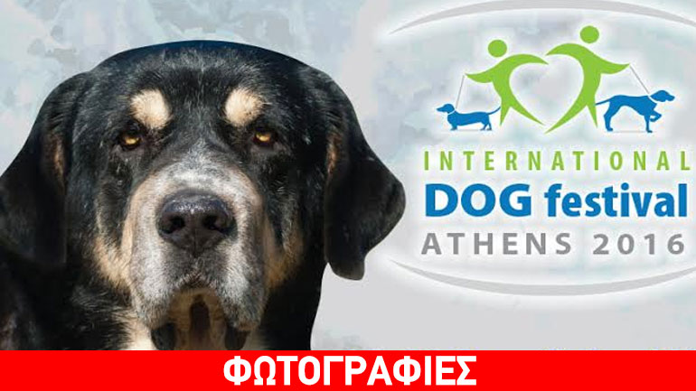 Η Παγκόσμια Ημέρα των ζώων στο «Κατοικίδια Εν Δράσει 2016»