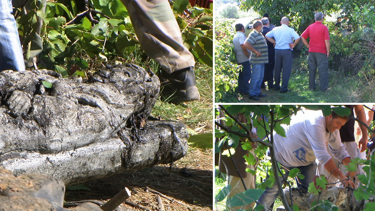 Μετέφεραν τα κλεμμένα αρχαία με νταλίκες Μετέφεραν τα κλεμμένα αρχαία με νταλίκες