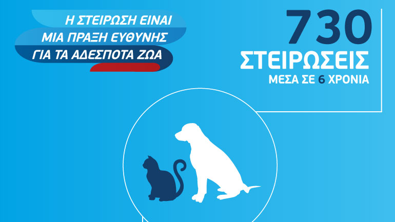 WIND & Animal Action/GAWF – 6 χρόνια συνεργασίας για τη φροντίδα αδέσποτων ζώων