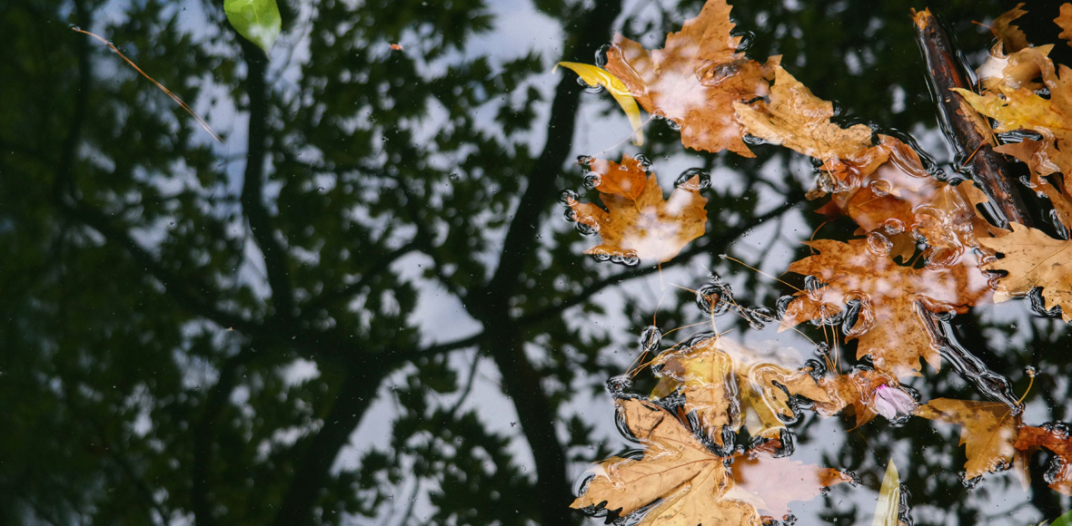 Φθινοπωρινές αντανακλάσεις