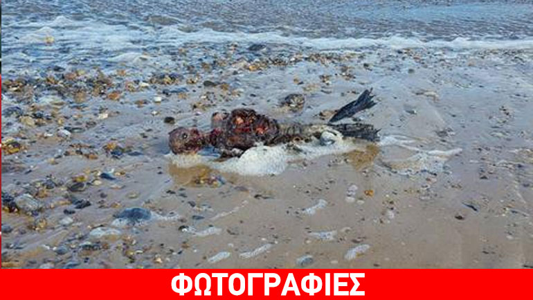 Οι λάτρεις των θεωριών συνωμοσίας και η «γοργόνα» που εκβράστηκε σε παραλία