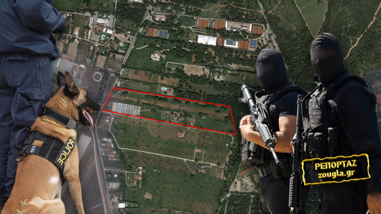 Βρήκαν όπλα και ναρκωτικά στο Τατόι