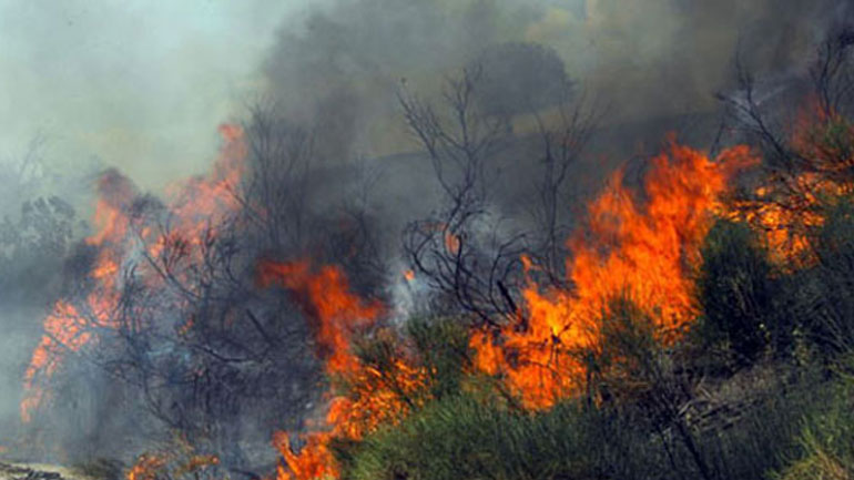 Βόλος: Σύλληψη γιαγιάς και εγγονού για τη φωτιά στον Άγιο Λαυρέντιο