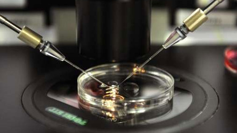 Νέα εξέλιξη στην ανδρική υπογονιμότητα, τα σπερματοζωάρια από βλαστοκύτταρα