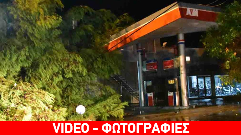 Αργολίδα: Πεύκο έπεσε σε πρατήριο καυσίμων στη Νέα Τίρυνθα