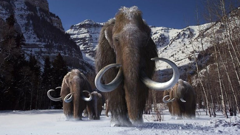 Mαμούθ έζησε πριν από 1 εκατ. χρόνια στον Λαγκαδά Θεσσαλονίκης