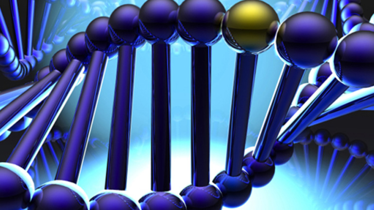 Τα γονίδια της εξαπάτησης και της συνεργασίας σε μια εξελισσόμενη κοινωνία