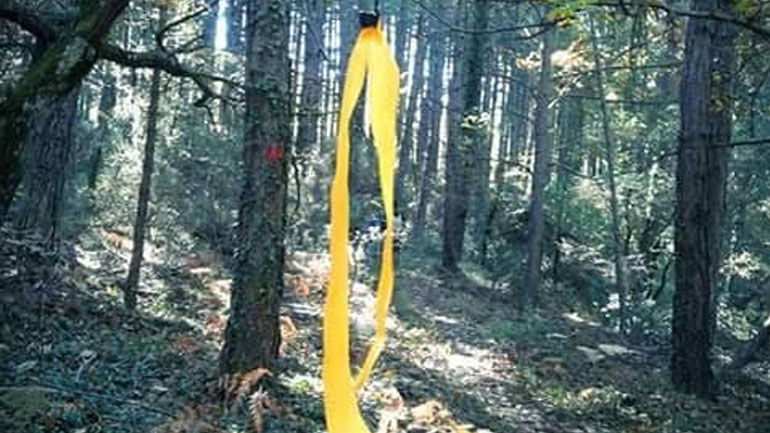 Δείξε μου τον δρόμο!